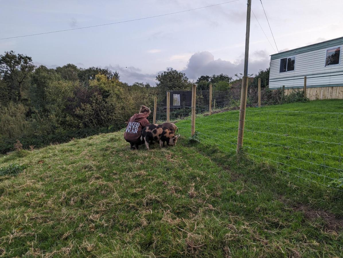 The Piggery Villa Witheridge Eksteriør bilde